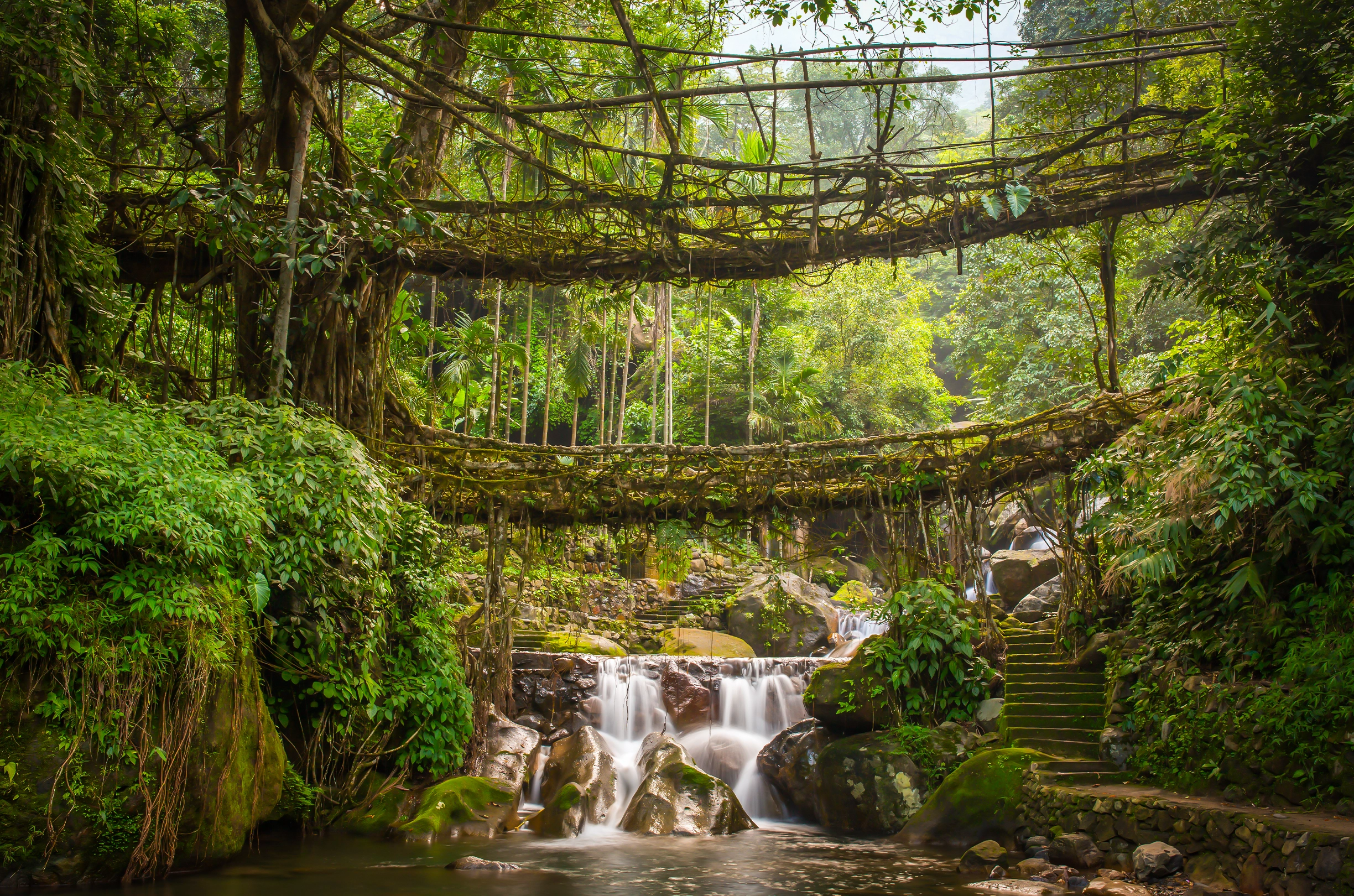 6 Days Meghalaya Group Tour | Christmas and New Year Edition